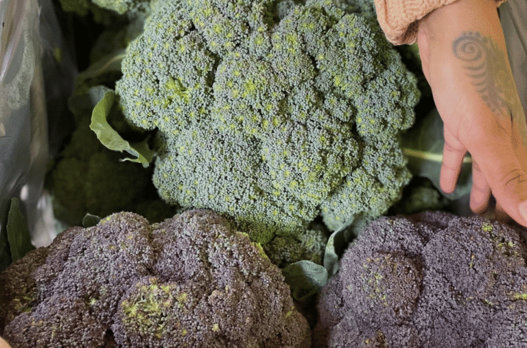 Flora Bodega 1 768x507